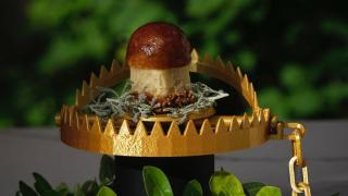 Pincho de Oro 2025 en Salamanca de Bambu Tapas y Brasas