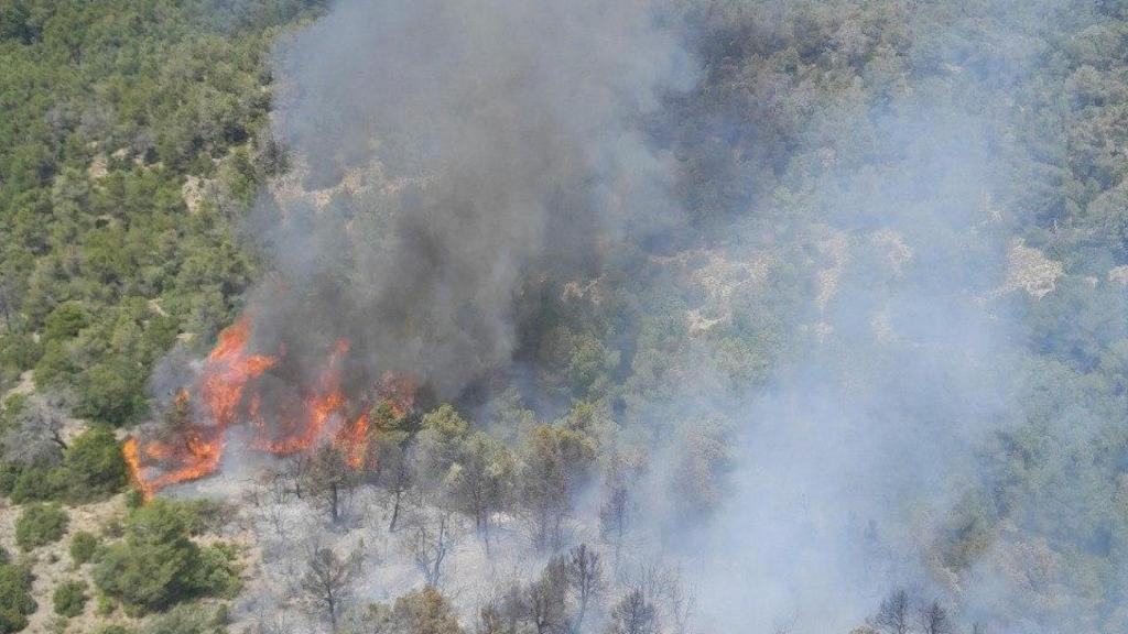 Incendio forestal en Berge (Teruel)