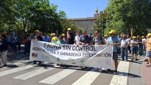 Manifestación de agricultores en Zaragoza