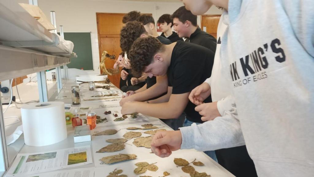 El grado de Ingeniería Agrícola habilita para el ejercicio como ingeniero técnico agrícola