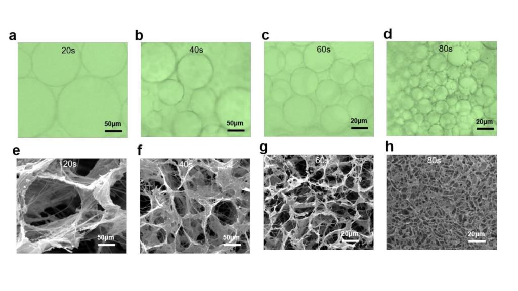 Diagrama del estudio de los OSNAs