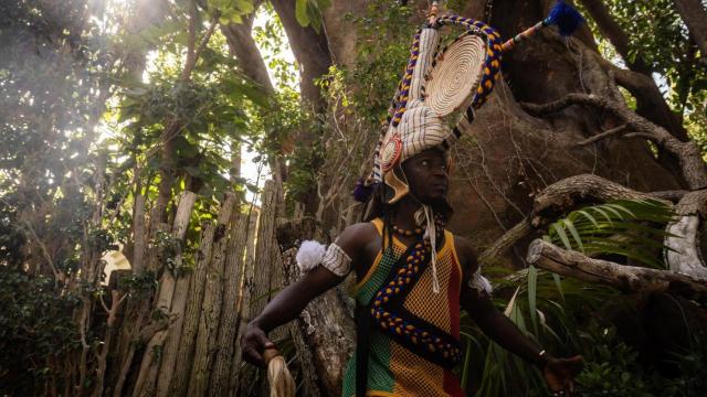 África será protagonista este verano en Bioparc Fuengirola.