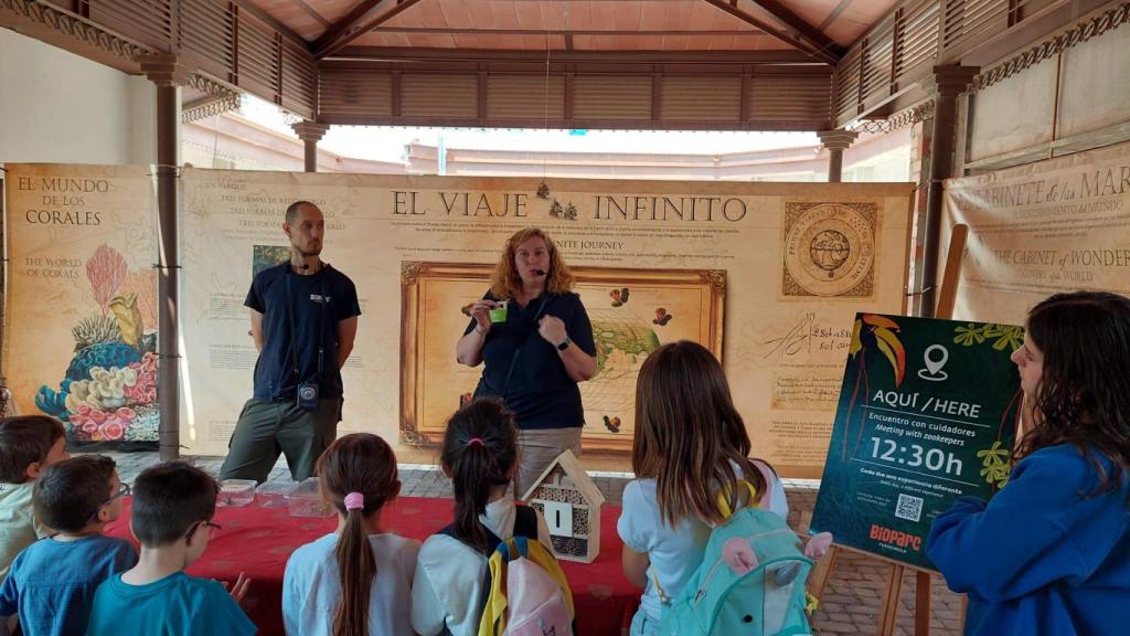 Actividades en el parque.