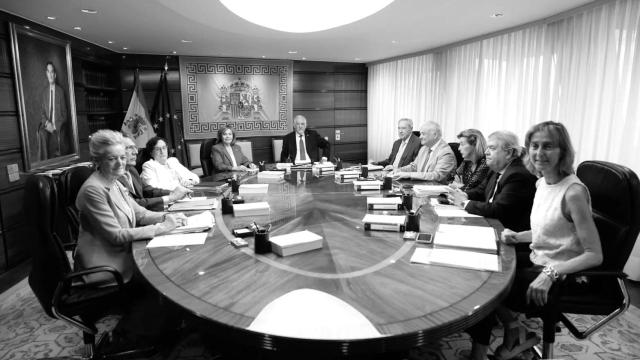 El Tribunal Constitucional.