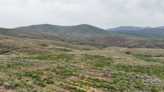 El Bosque Merlin en Salamanca