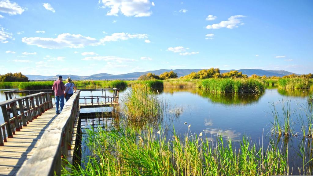 Las pasarelas de madera de Las Tablas de Daimiel ofrecen un bonito paseo entre los humedales