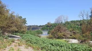 La Vega de Mestanza.