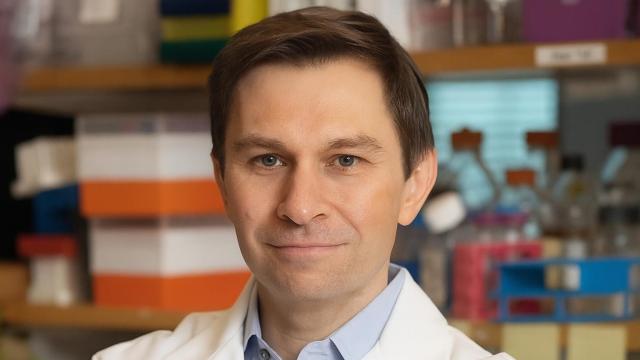 El científico de Harvard David Sinclair.