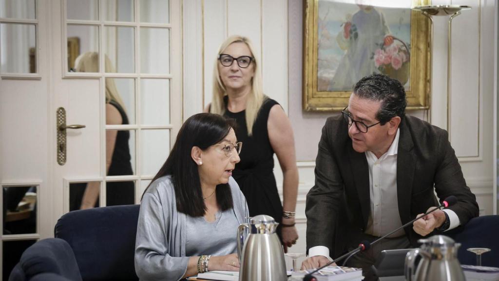 La presidenta de Les Corts, Llanos Massó. José Cuéllar / Corts