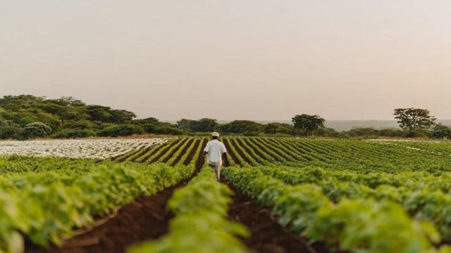 Un campesino brasileño.