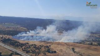Incendio forestal en Talavera de la Reina. Foto: Plan Infocam.