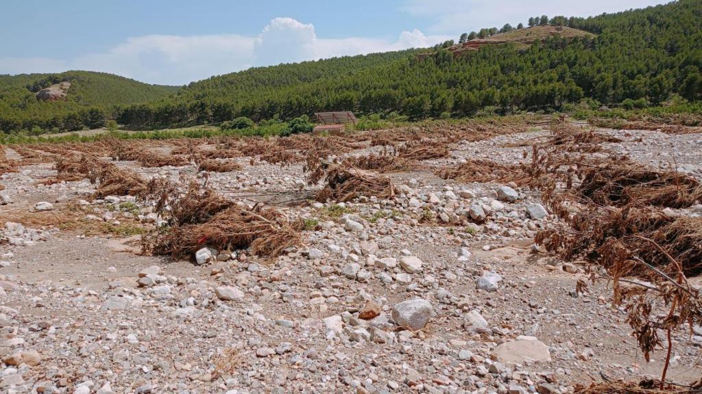 Campo de nogales arrasado por la tormenta