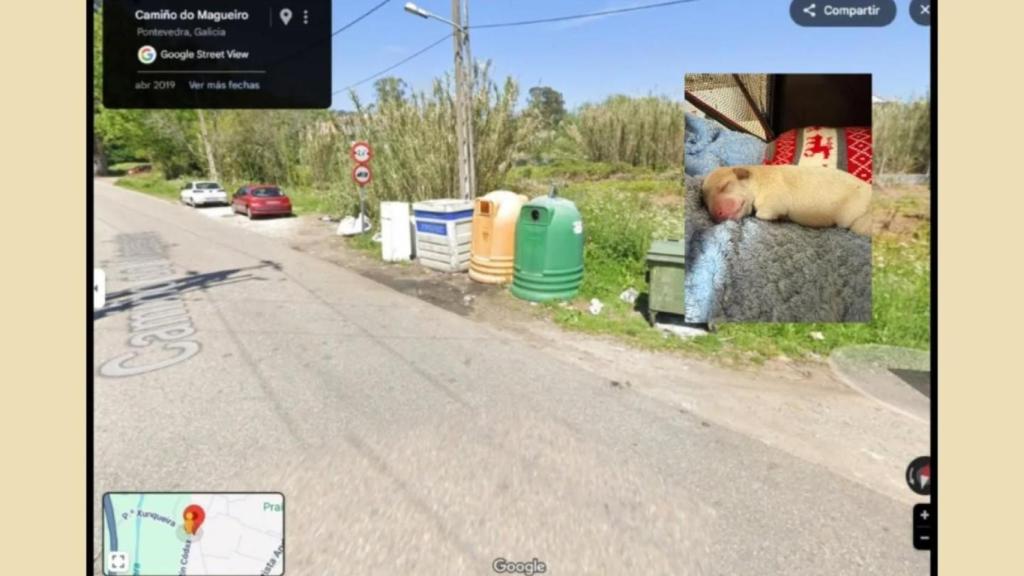 Imagen del lugar donde fueron abandonados.