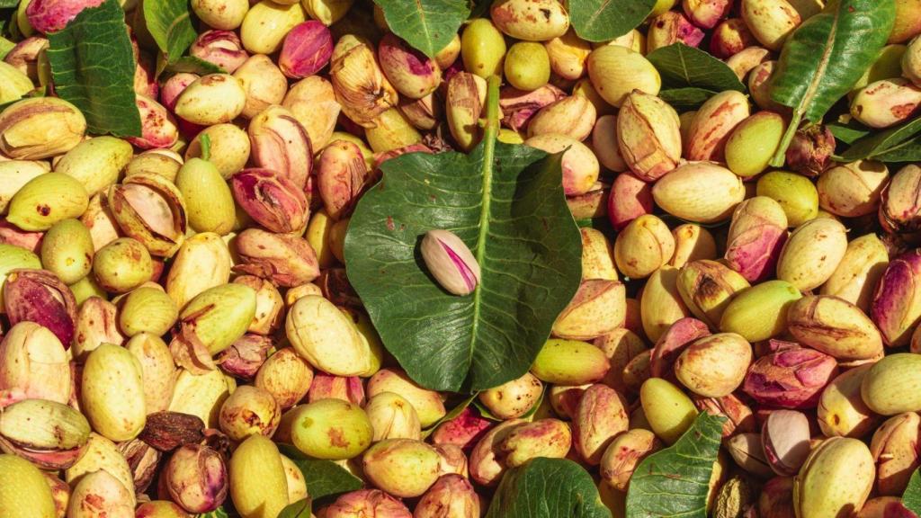 Pistachos de la cosecha del año pasado de Agróptimum.