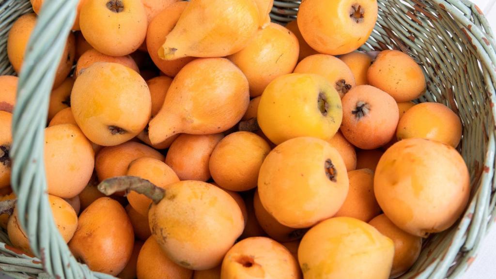 ¿Cómo se llama el árbol del níspero? En España casi nadie conoce su nombre verdadero