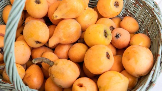 ¿Cómo se llama el árbol del níspero? En España casi nadie conoce su nombre verdadero