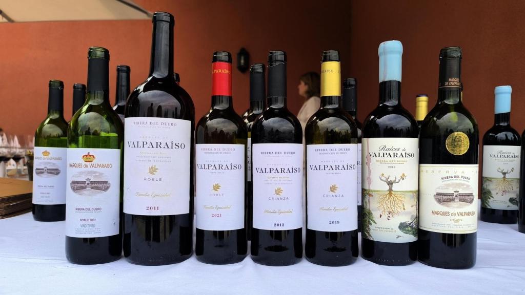 Las botellas que se cataron.