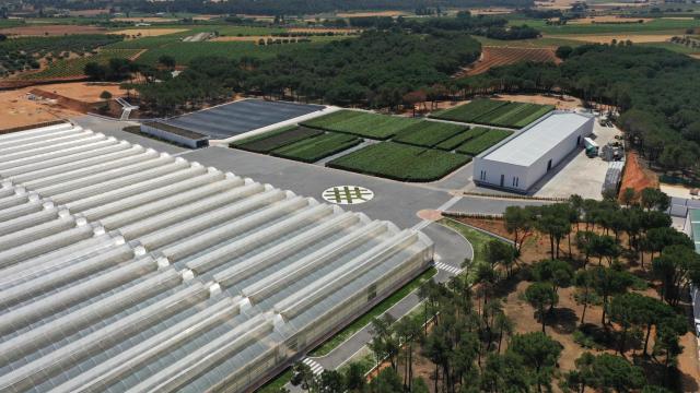 El vivero de Agroptimum.