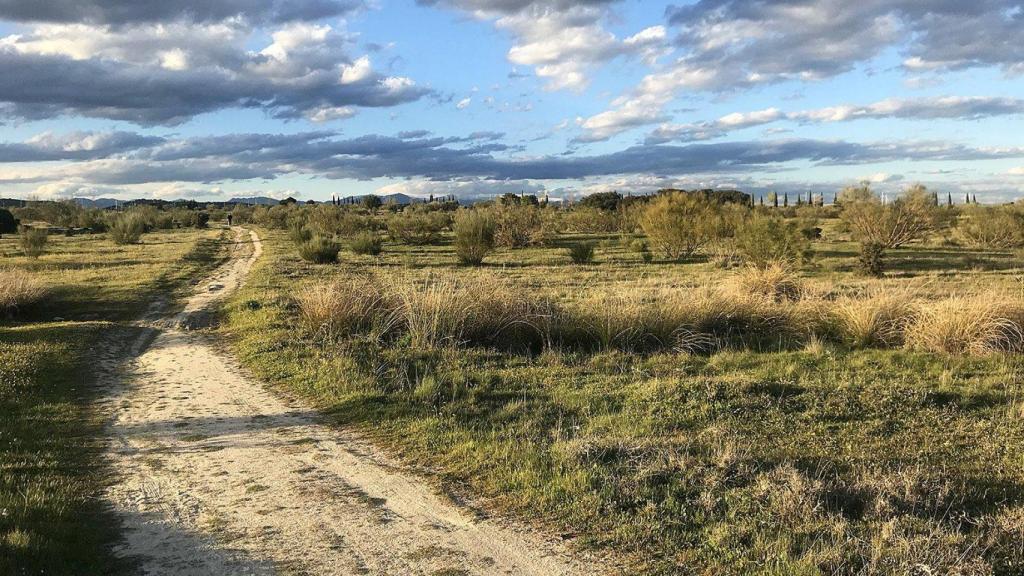El terreno donde se desarrollará el desarrollo urbanístico Sector 1 'Los Pocillos' en Villanueva de la Cañada.
