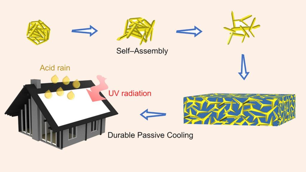 Diagrama del estudio sobre la película de refrigeración biodegradable