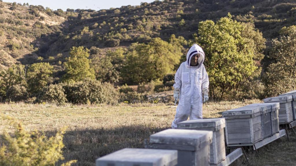 Fernando Ramón Rincón.