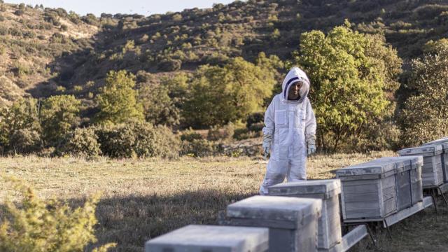 Fernando Ramón Rincón.