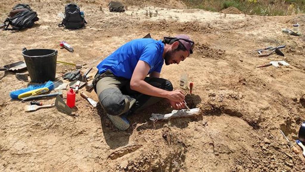 El investigador de la USAL José Manuel Gasca excavando en sedimentos eocenos de la provincia de Zamora en la campaña de 2025