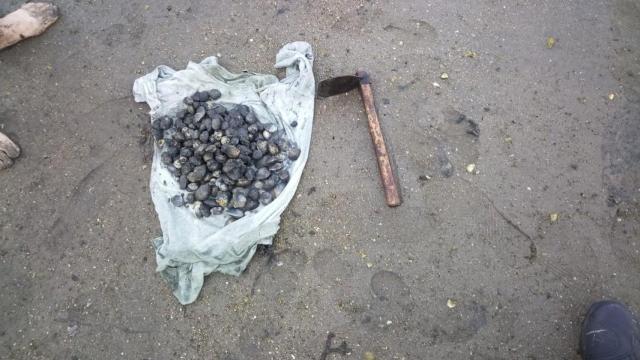 Almejas incautadas a trs furtivos sorprendidos en la playa de Ríos, en Teis (Vigo) el 21 de junio de 2025