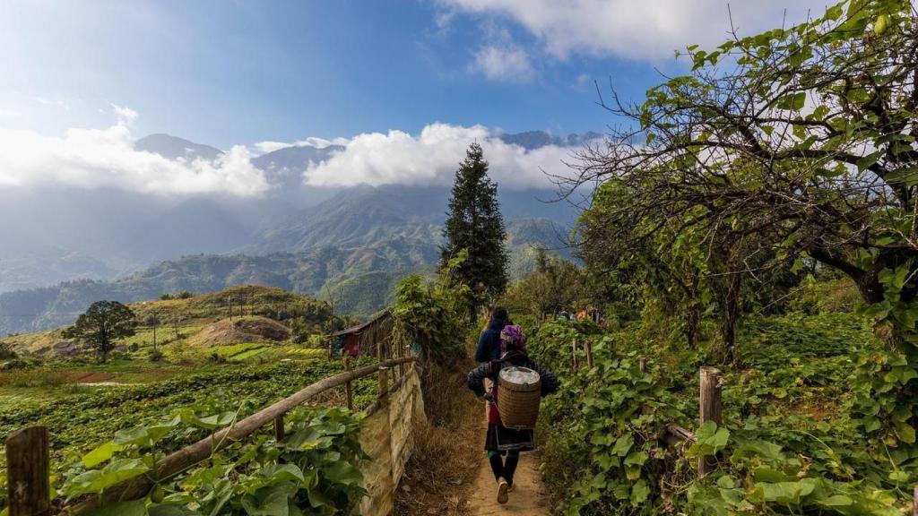 Cañón del parque nacional de Zion