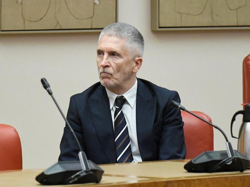 Grande-Marlaska, este viernes en el Congreso.