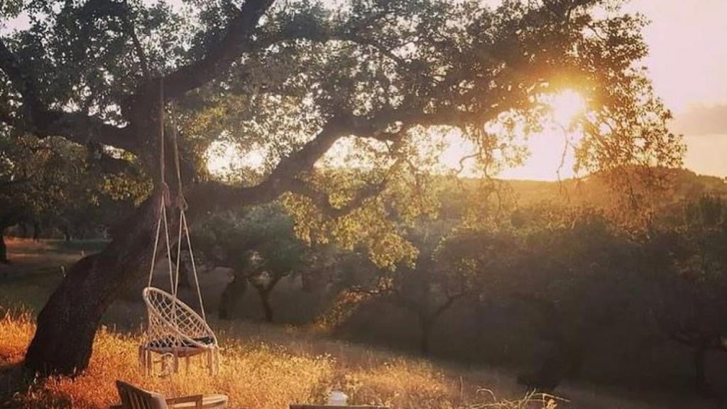 Uno de los bucólicos rincones de 'La siesta del Naranjo'.