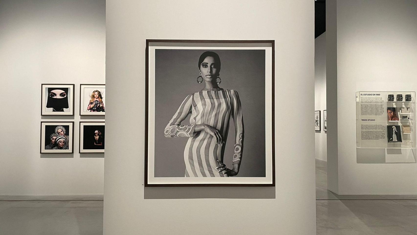 Así es la exposición de David Bailey en la Fundación MOP de A Coruña