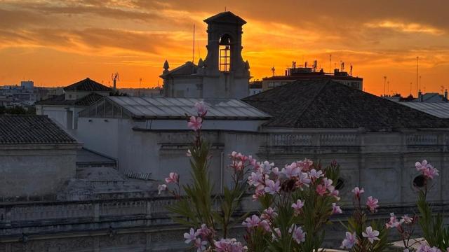 Atardecer desde la Plaza de San Francisco en Sevilla.