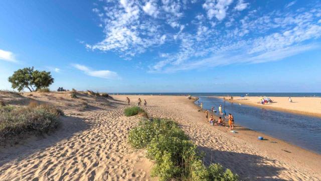 Playa de Oliva. Turisme CV