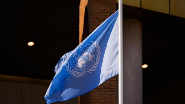 La bandera de la ONU, en Sevilla.