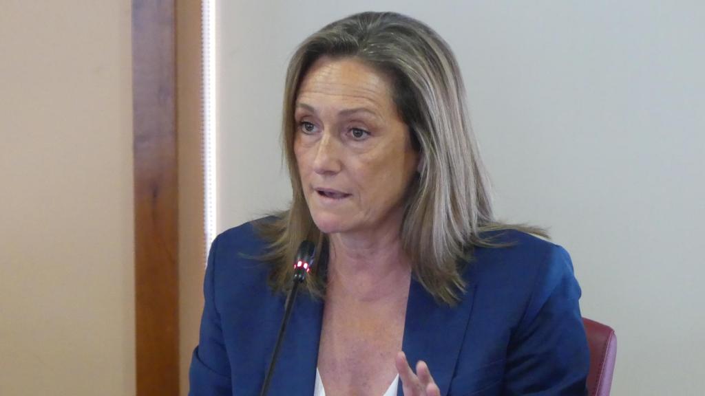 La presidenta del PP de Vigo, Luisa Sánchez, en un pleno en el Concello de Vigo