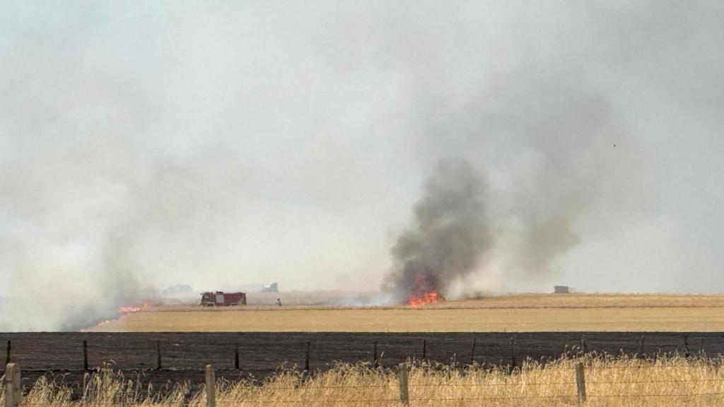 Medios aéreos y terrestres luchan para sofocar un incendio forestal declarado en un pueblo de Salamanca