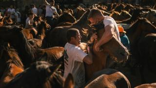 Dos hombres sujetan a un caballo durante el primer curro de la Rapa das Bestas 2024, a 6 de julio de 2024, en Sabucedo, Pontevedra