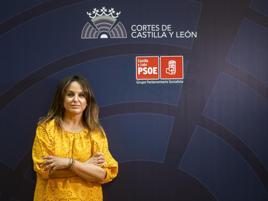 Patricia Gómez Urbán, en la sala de reuniones del Grupo Socialista en las Cortes