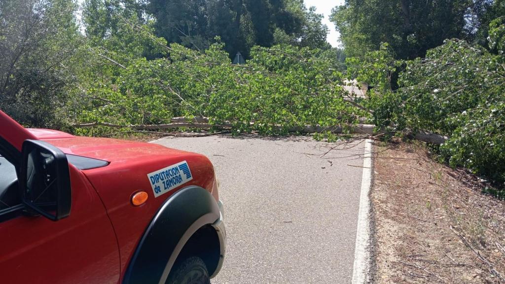 Estado en el que se encontraron la carretera los Bomberos de la Diputación de Zamora