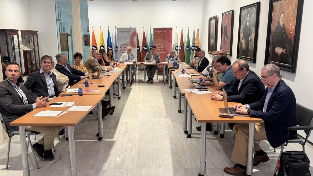 Un momento del Patronato de Innova IRV