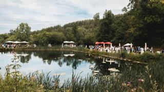 Festival Trasan fest