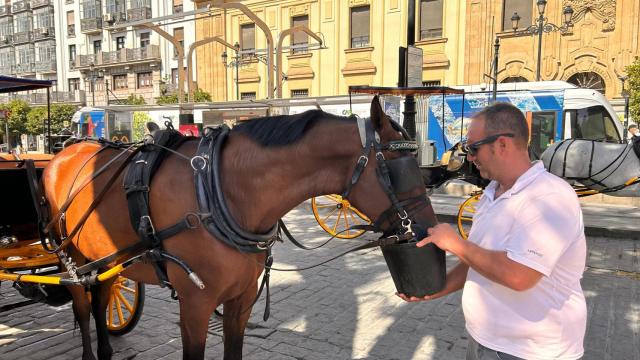 Moisés, cochero de Sevilla.
