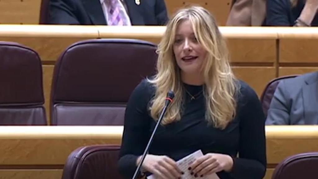 La nueva portavoz del PP en el Congreso, Ester Muñoz, durante su polémica intervención en el Senado, en febrero de 2019
