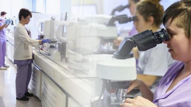 Un laboratorio clínico del Servicio Vasco de Salud (Osakidetza).