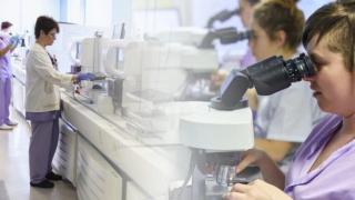 Un laboratorio clínico del Servicio Vasco de Salud (Osakidetza).