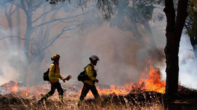 Imagen de archivo de varios bomberos trabajan en la extinción de un incendio en Chiclana de la Frontera (Cádiz).