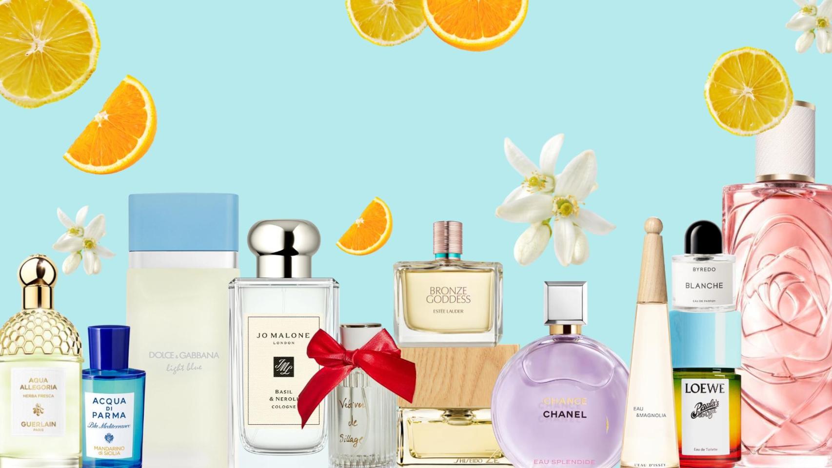 La selección de perfumes del verano de Magas.