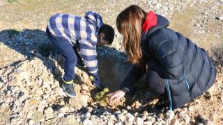 Trabajos de reforestación en Aragón