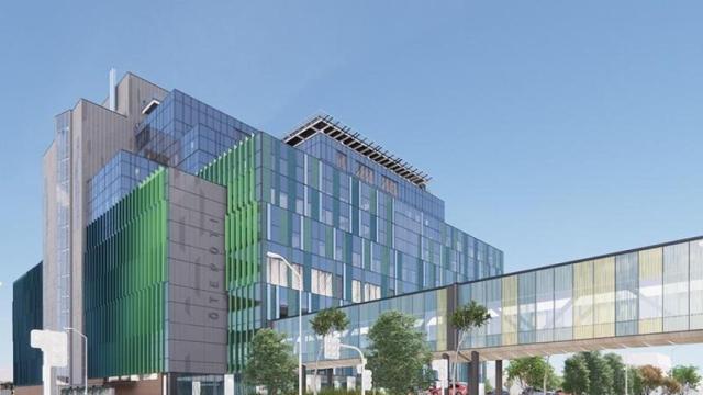 Hospital New Dunedin